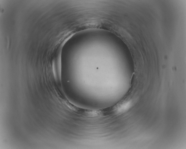 X0000074230432200609011246