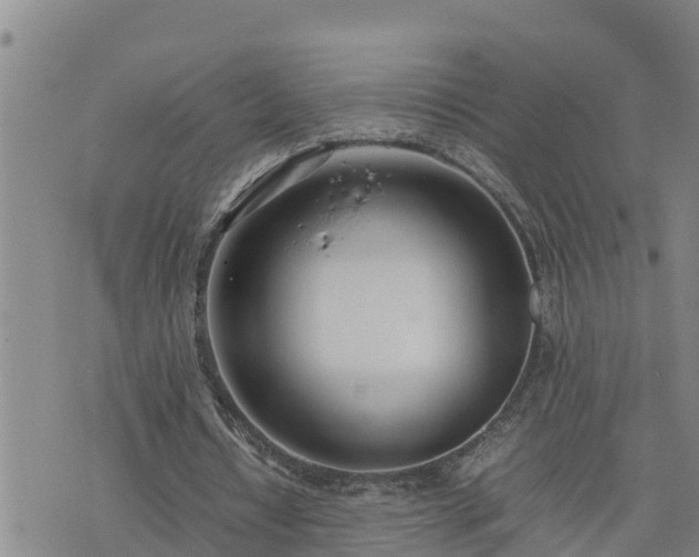 X0000074230434200609011245