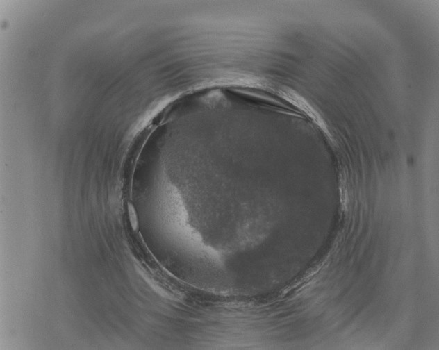 X0000074230436200609011245