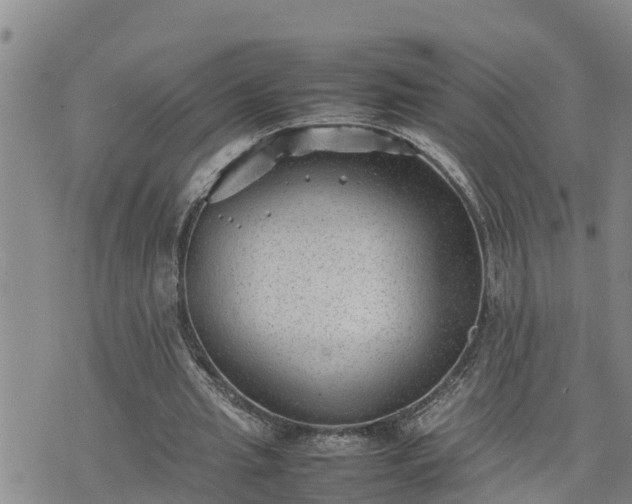 X0000074230437200609011245