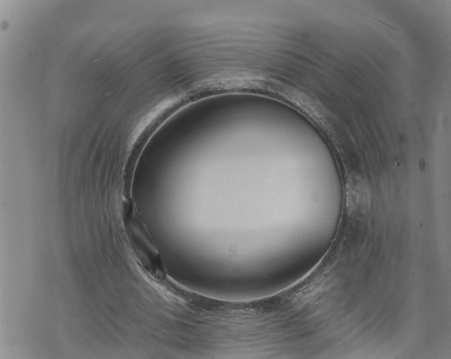 X0000074230438200609011246