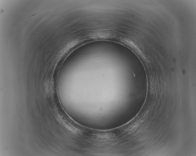 X0000074230439200609011246