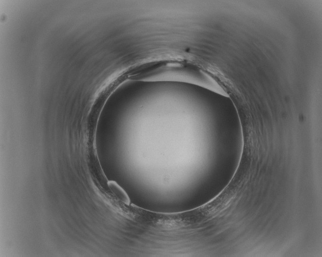 X0000074230440200609011246