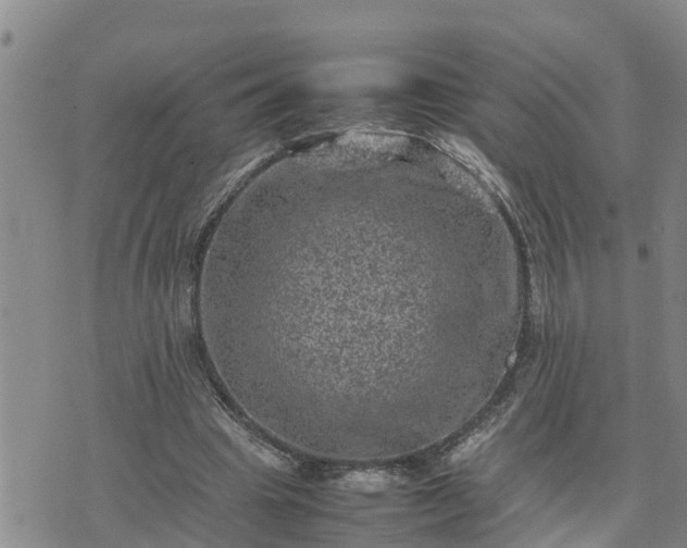 X0000074230441200609011246