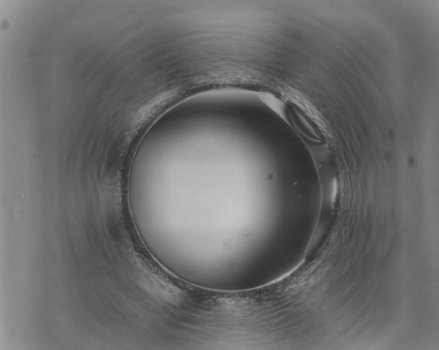 X0000074230442200609011246