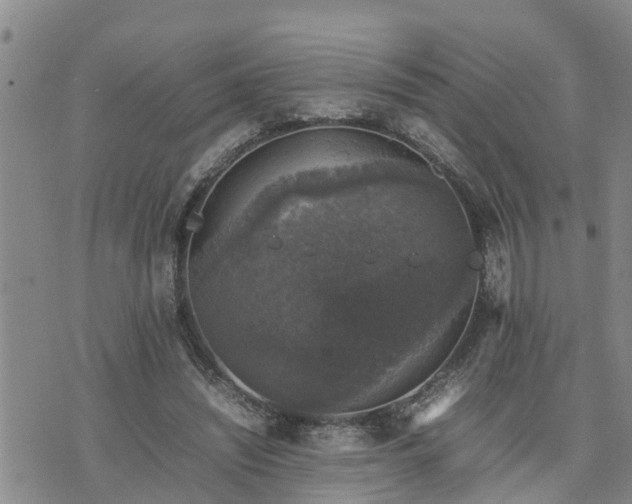 X0000074230444200609011246