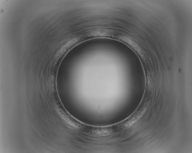 X0000074230445200609011246