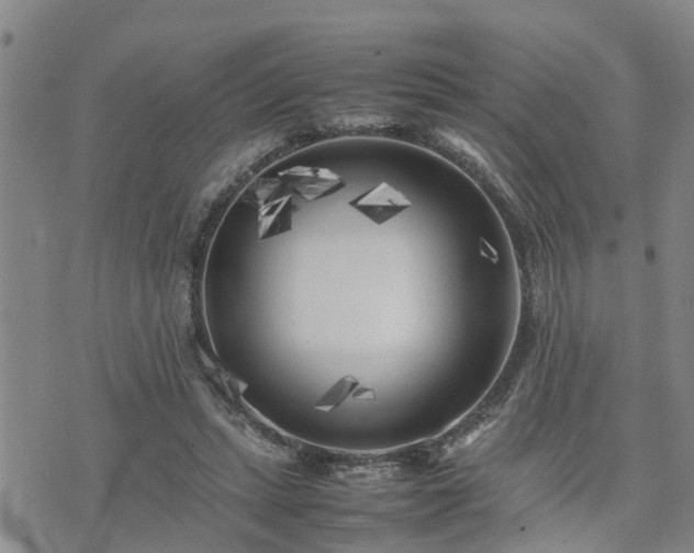 X0000074230447200609011246