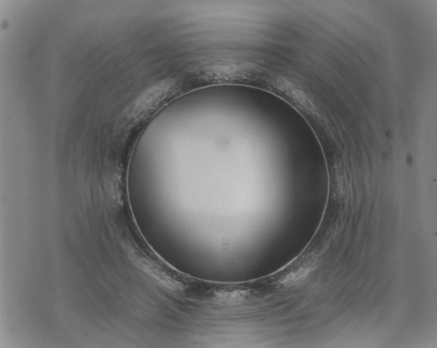 X0000074230450200609011246