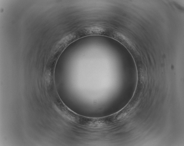 X0000074230451200609011246