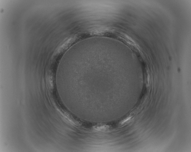 X0000074230452200609011246