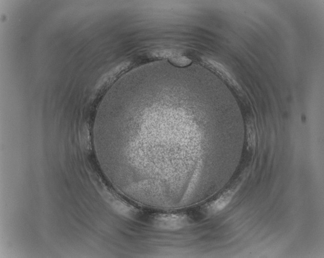 X0000074230453200609011246