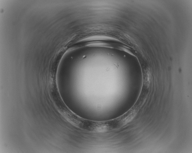 X0000074230456200609011246