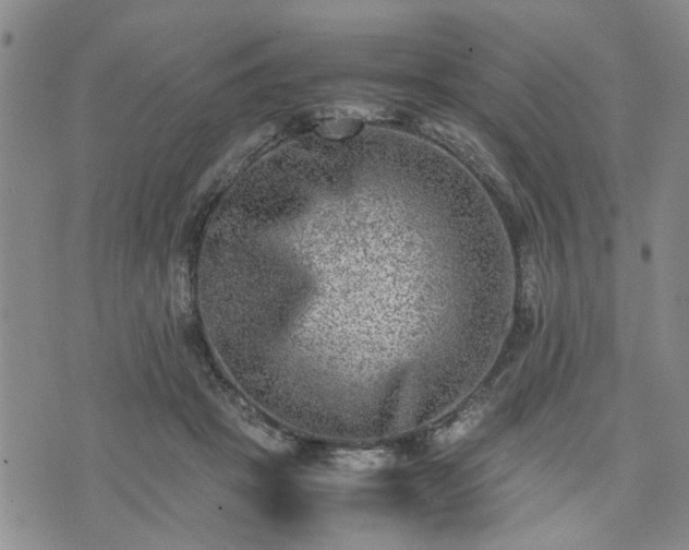 X0000074230457200609011246