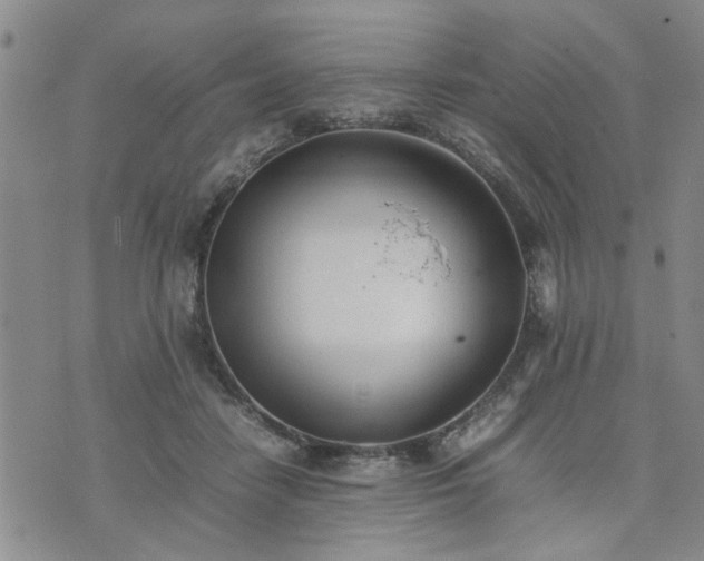 X0000074230458200609011246