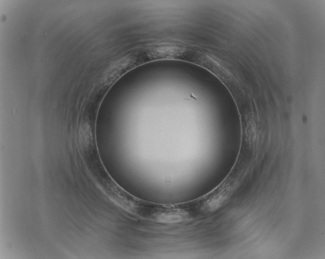 X0000074230459200609011246