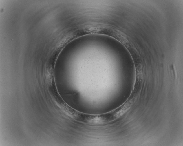 X0000074230460200609011246