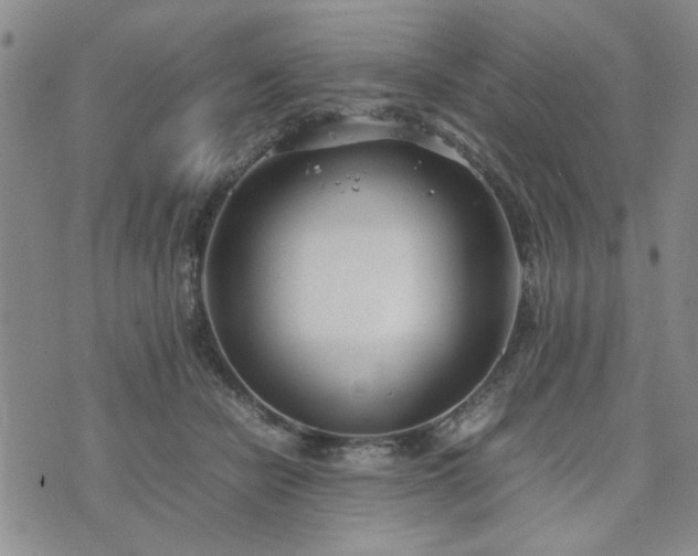 X0000074230462200609011246