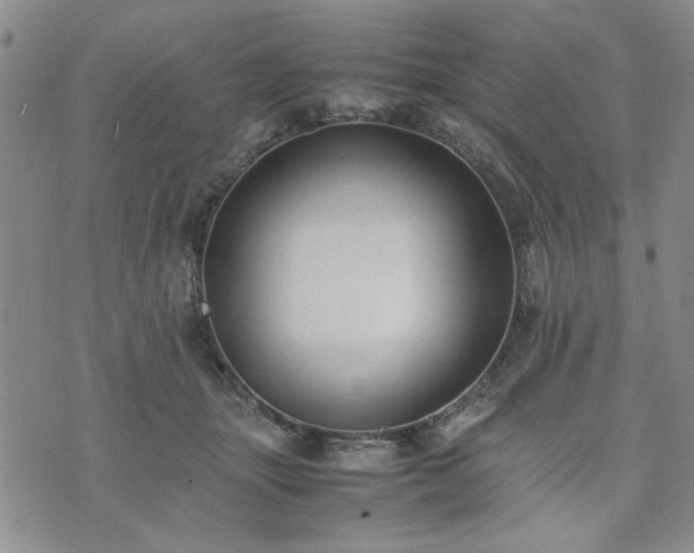 X0000074230463200609011246