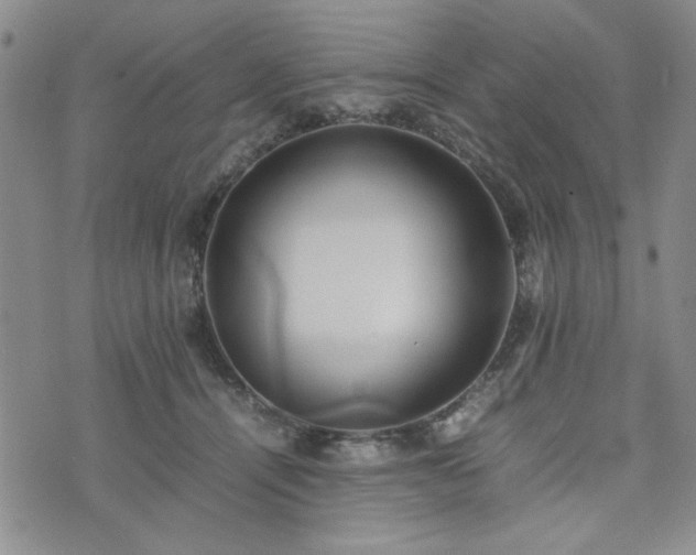 X0000074230464200609011246