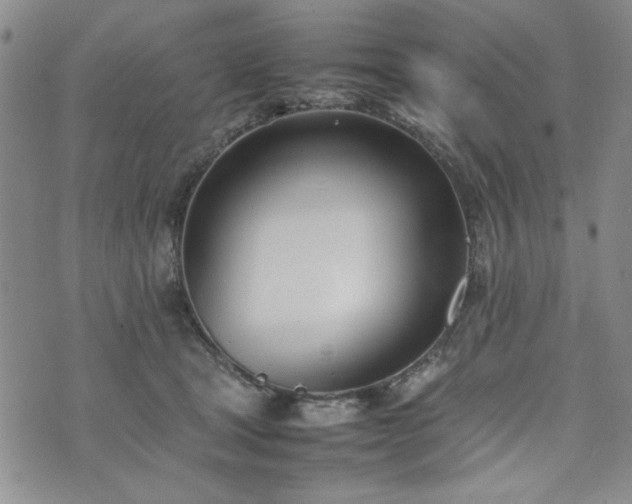 X0000074230465200609011246