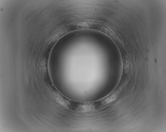 X0000074230466200609011246