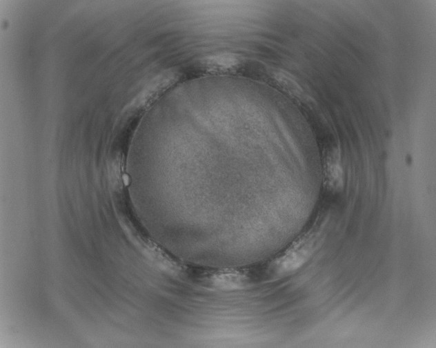 X0000074230468200609011246