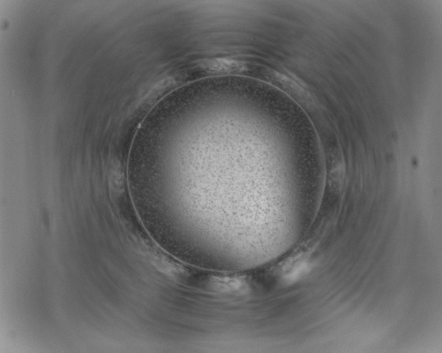 X0000074230469200609011246