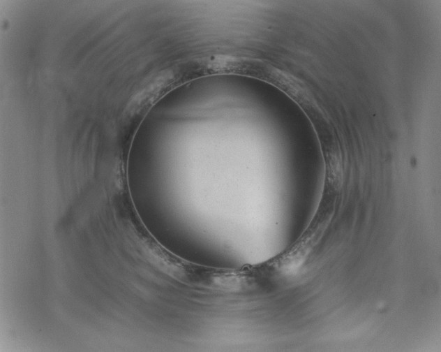 X0000074230470200609011246