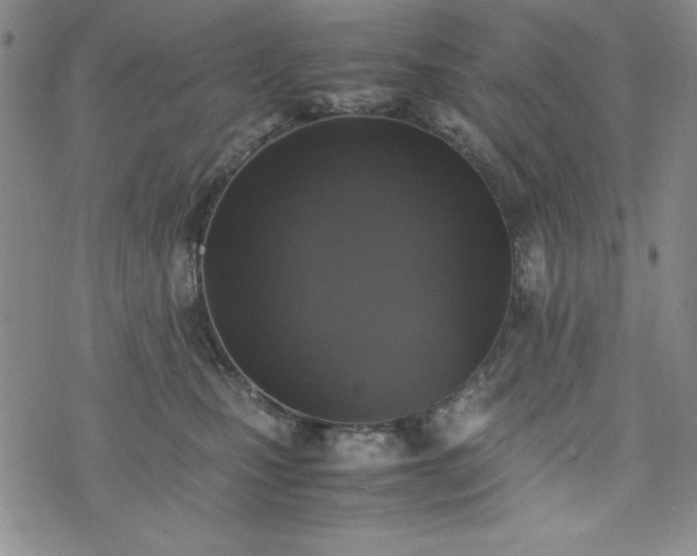 X0000074230471200609011246