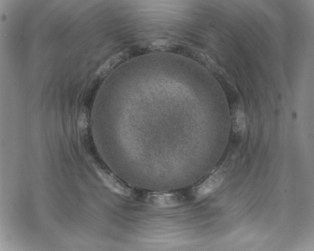 X0000074230472200609011246