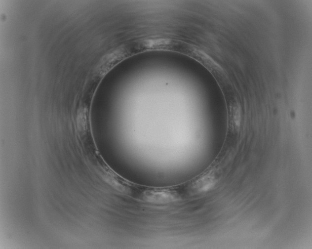 X0000074230475200609011246