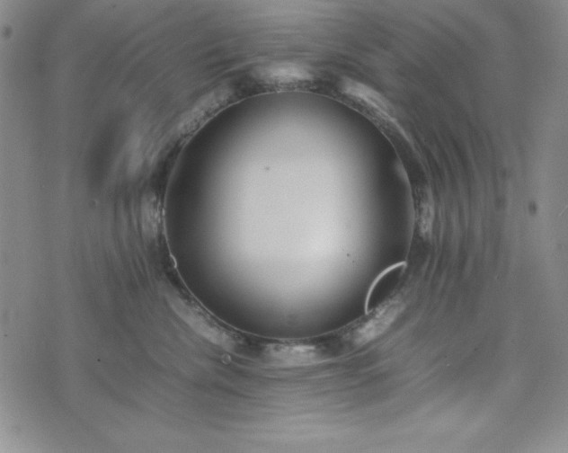 X0000074230476200609011246