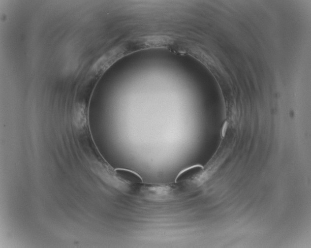 X0000074230478200609011246