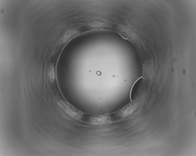 X0000074230479200609011246