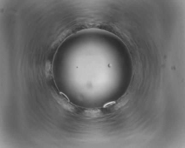 X0000074230480200609011246