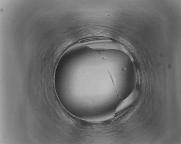 X0000074230481200609011245