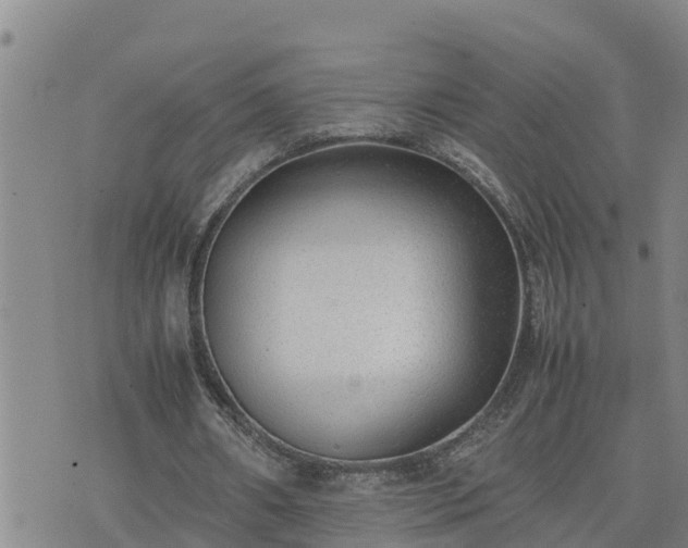 X0000074230482200609011245