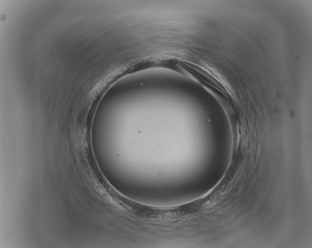 X0000074230485200609011245