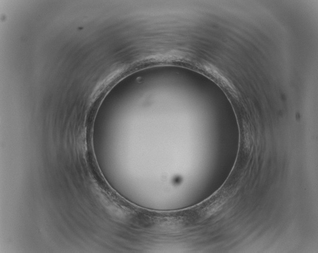 X0000074230486200609011245