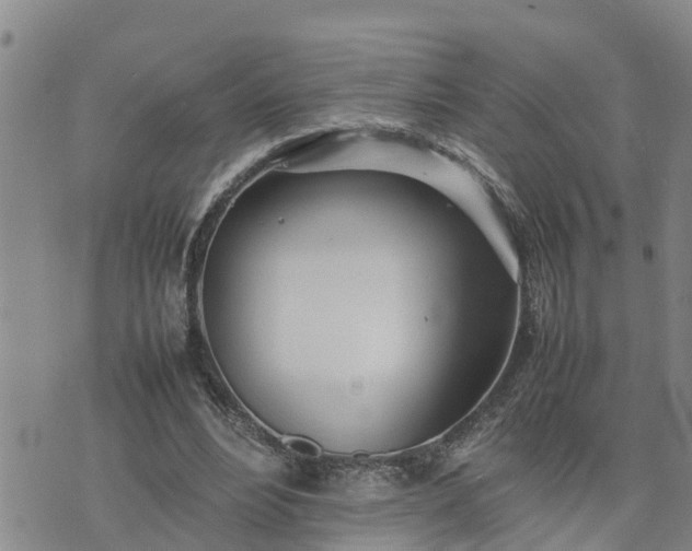 X0000074230488200609011245