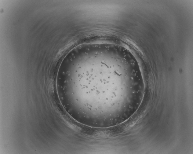 X0000074230489200609011245