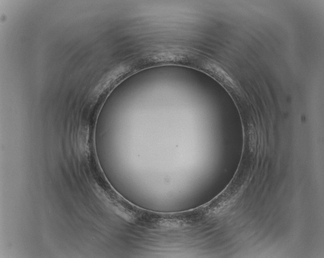 X0000074230490200609011245