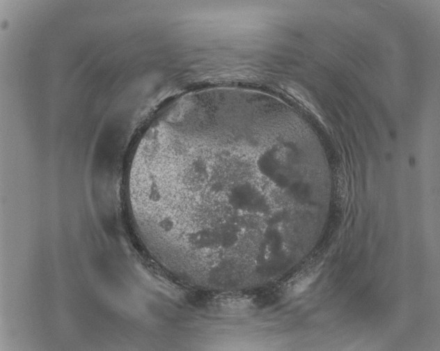 X0000074230491200609011245