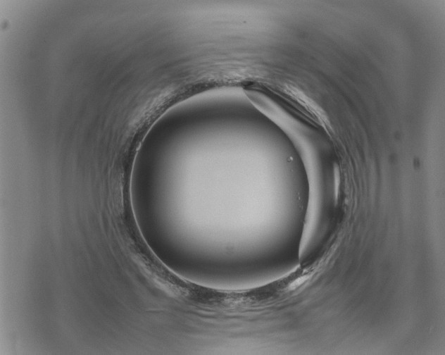 X0000074230493200609011245