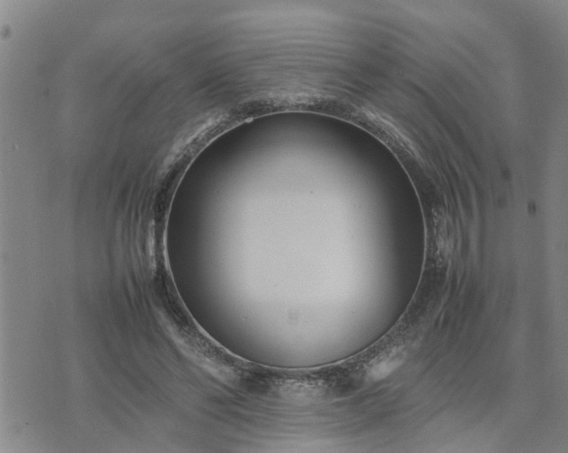 X0000074230494200609011245