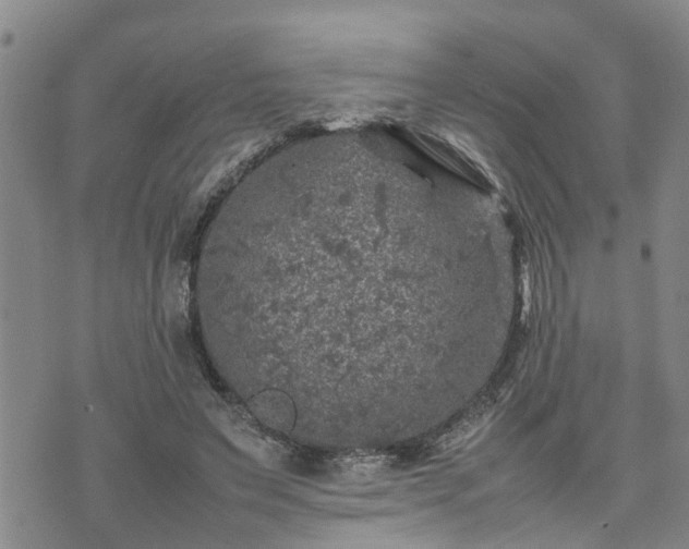 X0000074230495200609011245