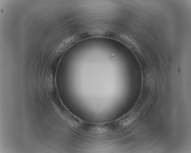 X0000074230498200609011245