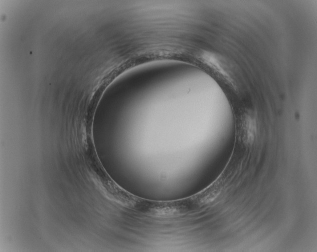 X0000074230500200609011245