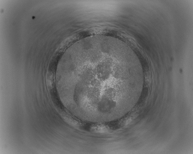 X0000074230503200609011245